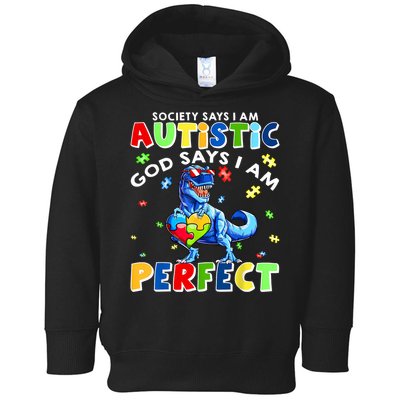 Society Says I'm Autistic God Says I'm Perfect Autism Funny Toddler Hoodie