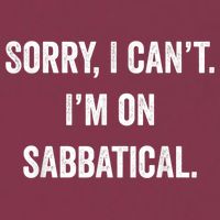 Sabbatical Sorry I Cant I'm On Sabbatical 16oz Travel Tumbler