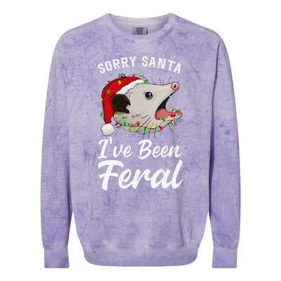 Sorry Santa IVe Been Feral Funny Feral Opossum Christmas Colorblast Crewneck Sweatshirt