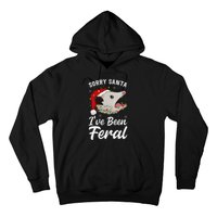 Sorry Santa IVe Been Feral Funny Feral Opossum Christmas Hoodie