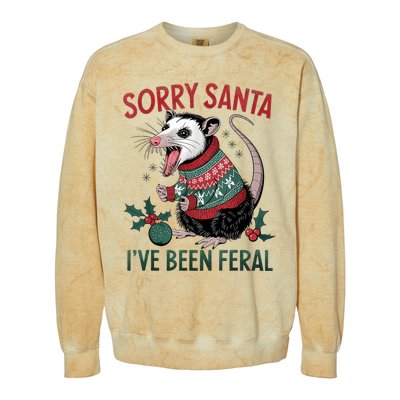 Sorry Santa IVe Been Feral Funny Feral Opossum Christmas Colorblast Crewneck Sweatshirt