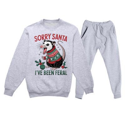 Sorry Santa IVe Been Feral Funny Feral Opossum Christmas Premium Crewneck Sweatsuit Set