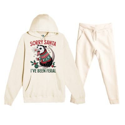 Sorry Santa IVe Been Feral Funny Feral Opossum Christmas Premium Hooded Sweatsuit Set