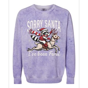 Sorry Santa IVe Been Feral Christmas Holiday Reccoon Meme Gift Colorblast Crewneck Sweatshirt