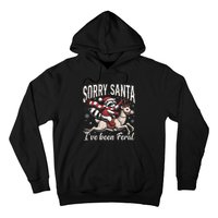 Sorry Santa IVe Been Feral Christmas Holiday Reccoon Meme Gift Hoodie