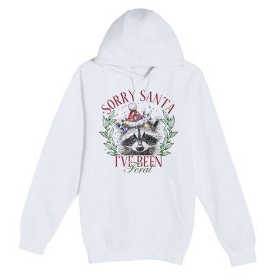 Sorry Santa IVe Been Feral Cute Raccoon Christmas Santa Premium Pullover Hoodie