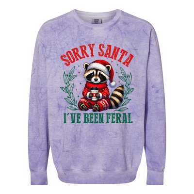 Sorry Santa IVe Been Feral Funny Raccoon Christmas Matching Sorry Santa IVe Be Colorblast Crewneck Sweatshirt