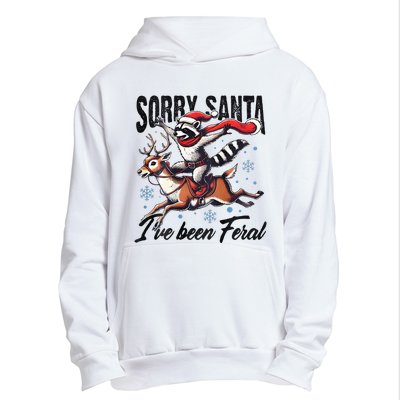 Sorry Santa I’Ve Been Feral Raccoon Riding Horse Urban Pullover Hoodie