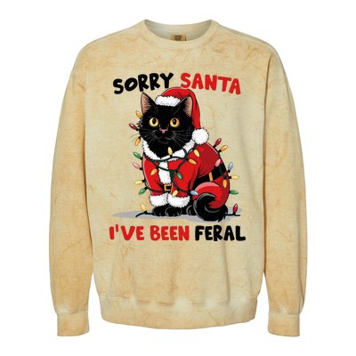 Sorry Santa IVe Been Feral Black Cat Christmas Funny Colorblast Crewneck Sweatshirt