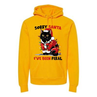 Sorry Santa IVe Been Feral Black Cat Christmas Funny Premium Hoodie