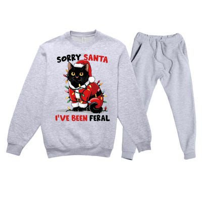 Sorry Santa IVe Been Feral Black Cat Christmas Funny Premium Crewneck Sweatsuit Set