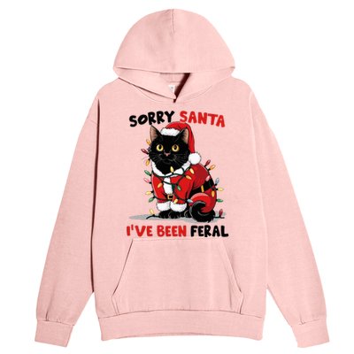 Sorry Santa IVe Been Feral Black Cat Christmas Funny Urban Pullover Hoodie