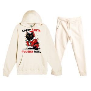 Sorry Santa IVe Been Feral Black Cat Christmas Funny Premium Hooded Sweatsuit Set