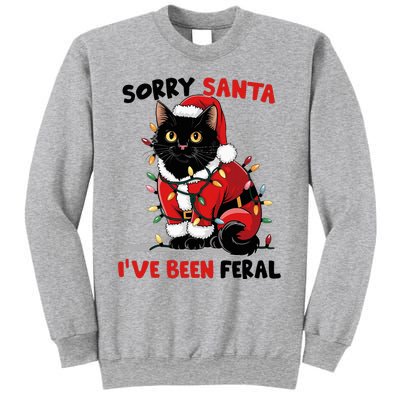 Sorry Santa IVe Been Feral Black Cat Christmas Funny Sweatshirt