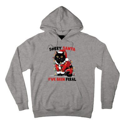 Sorry Santa IVe Been Feral Black Cat Christmas Funny Tall Hoodie