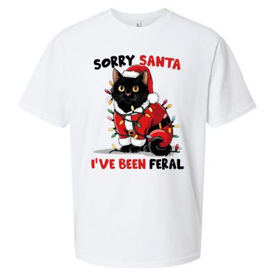 Sorry Santa IVe Been Feral Black Cat Christmas Funny Sueded Cloud Jersey T-Shirt