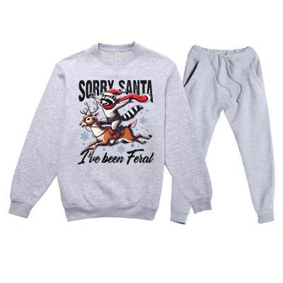 Sorry Santa I’Ve Been Feral Raccoon Riding Horse Premium Crewneck Sweatsuit Set