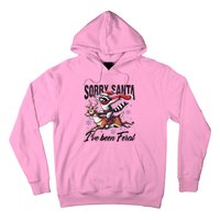 Sorry Santa I’Ve Been Feral Raccoon Riding Horse Hoodie