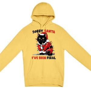 Sorry Santa IVe Been Feral Black Cat Christmas Premium Pullover Hoodie