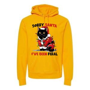 Sorry Santa IVe Been Feral Black Cat Christmas Premium Hoodie