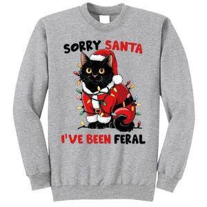 Sorry Santa IVe Been Feral Black Cat Christmas Tall Sweatshirt