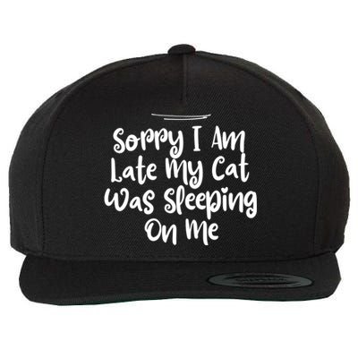 Sarcastic Sorry I Am Late My Cat Was Sleeping On Me Gift Wool Snapback Cap