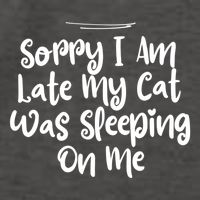 Sarcastic Sorry I Am Late My Cat Was Sleeping On Me Gift Vector Backpack
