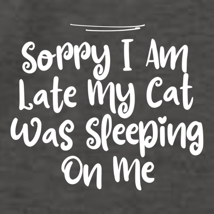 Sarcastic Sorry I Am Late My Cat Was Sleeping On Me Gift Vector Backpack