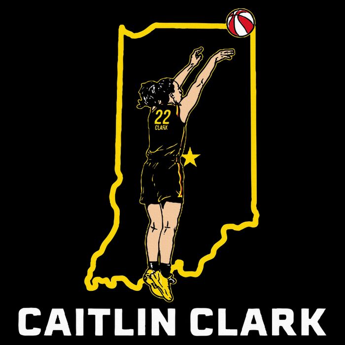 State Star Indiana Basketball Womens T-Shirt