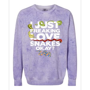 Snake Snake Lover  Reptile Lover Funny Snake Colorblast Crewneck Sweatshirt