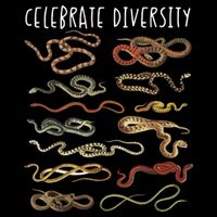 Snake Snake Lover Types Of Snakes Snakes Button