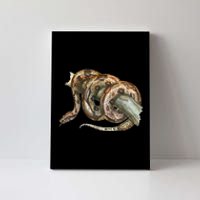 Snake Snake Lover  Men Snake Canvas