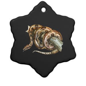 Snake Snake Lover  Men Snake Ceramic Star Ornament