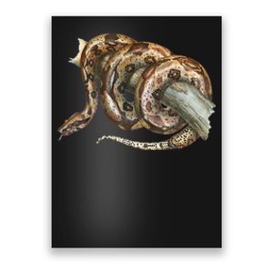 Snake Snake Lover  Men Snake Poster