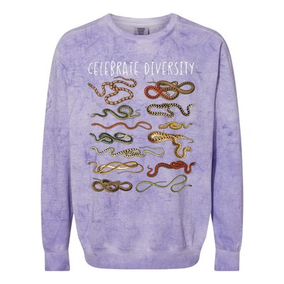 Snake Snake Lover Types Of Snakes Snakes Colorblast Crewneck Sweatshirt