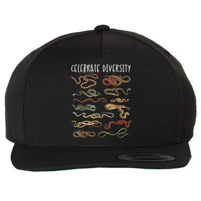 Snake  Snake Lover Types Of Snakes Snakes Wool Snapback Cap