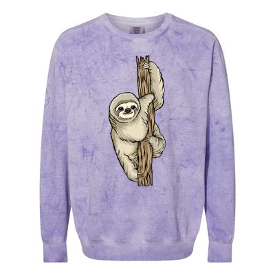 Sloth Colorblast Crewneck Sweatshirt