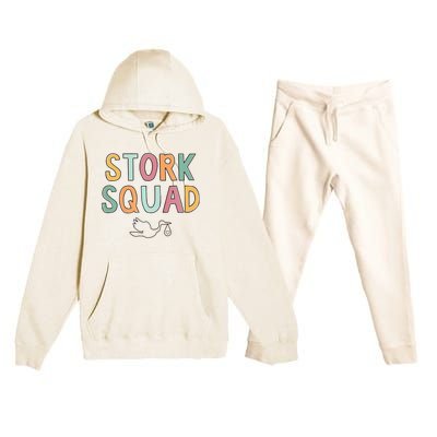 Stork Squad Labor And Delivery Nurse Mother Baby Nurse Premium Hooded Sweatsuit Set