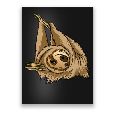 Sloth Poster