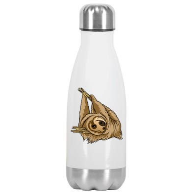 Sloth Stainless Steel Insulated Water Bottle