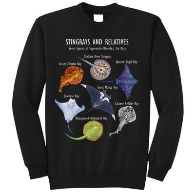 Stingray Species Manta Ray River Stingray And More Sweatshirt