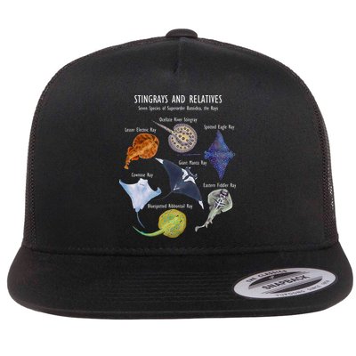 Stingray Species Manta Ray River Stingray And More Flatbill Hat