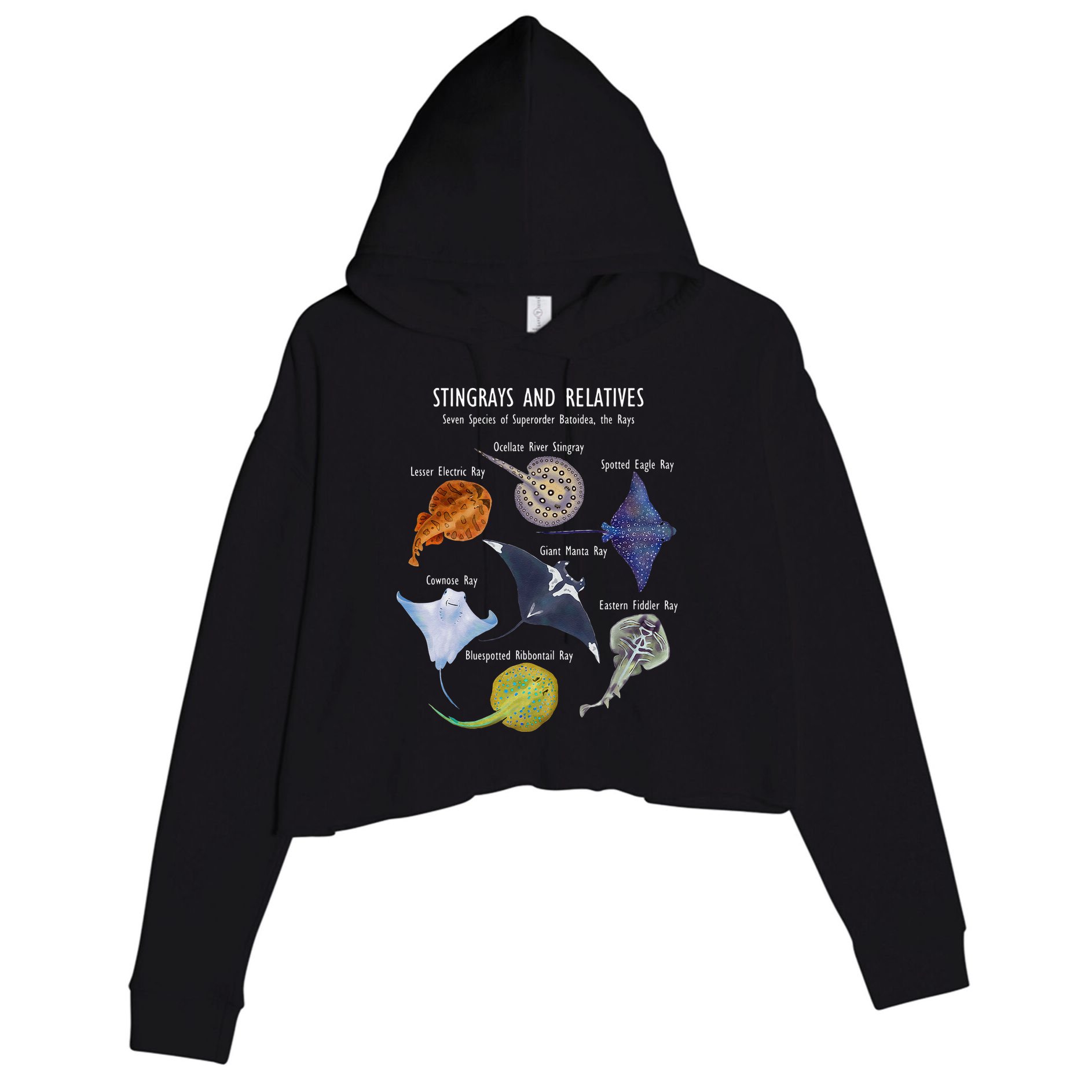 Stingray Species Manta Ray River Stingray And More Crop Fleece Hoodie
