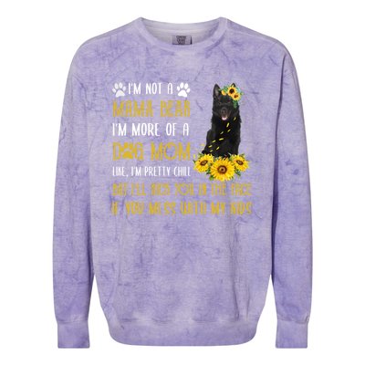 Sunflower Schipperke Mom Mothers Day Dog Mom Funny Gift Colorblast Crewneck Sweatshirt