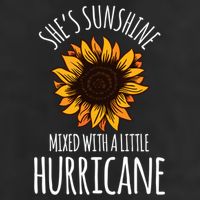 She's Sunshine Mixed With A Little Hurricane Funny Summer Great Gift 11oz C Handle Ceramic Mug