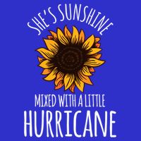She's Sunshine Mixed With A Little Hurricane Funny Summer Great Gift 16 in Basic Backpack