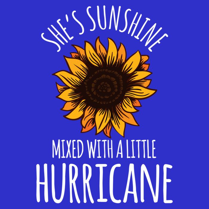 She's Sunshine Mixed With A Little Hurricane Funny Summer Great Gift 16 in Basic Backpack