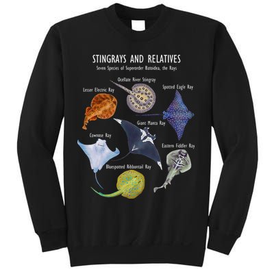 Stingray Species Manta Ray River Stingray and More Sweatshirt
