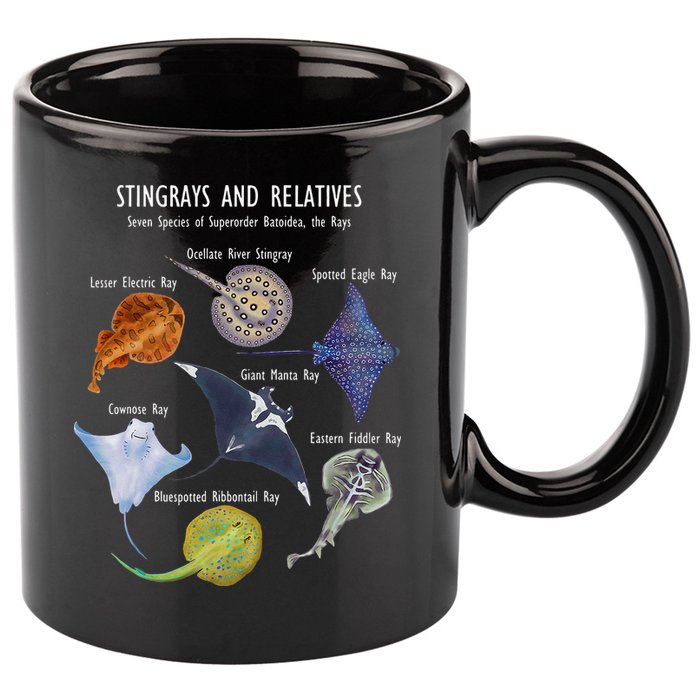 Stingray Species Manta Ray River Stingray and More 11oz C Handle Ceramic Mug