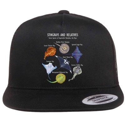 Stingray Species Manta Ray River Stingray and More Flatbill Hat